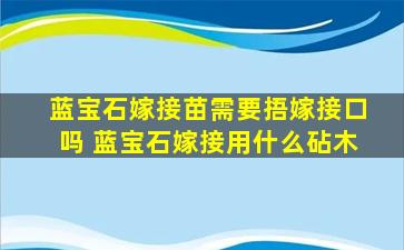 蓝宝石嫁接苗需要捂嫁接口吗 蓝宝石嫁接用什么砧木